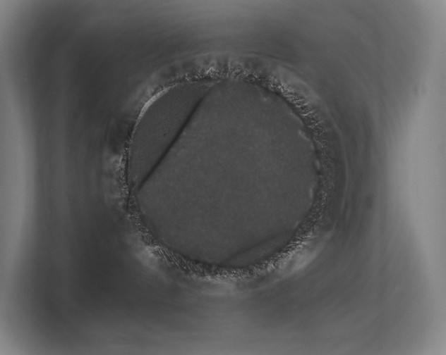 X0000112000144200908101329