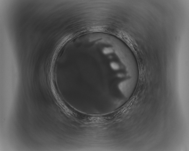 X0000112000145200908101329