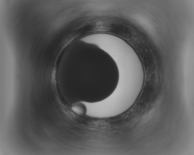 X0000112000146200908101329