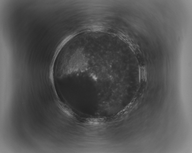 X0000112000147200908101329