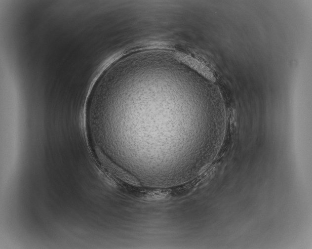 X0000112000148200908101329