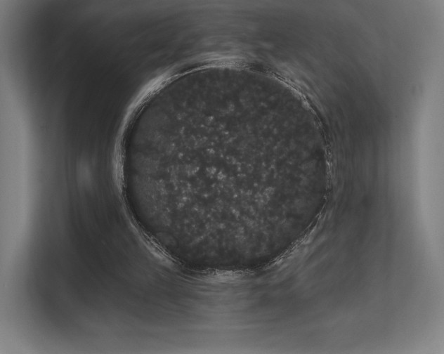 X0000112000149200908101329