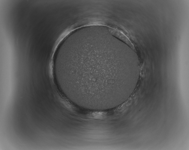 X0000112000152200908101329