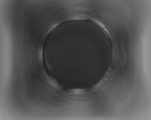 X0000112000154200908101329