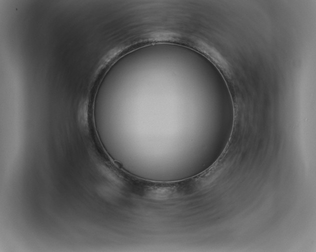 X0000112000155200908101329