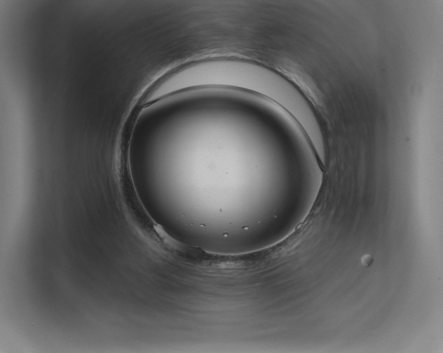 X0000112000156200908101329