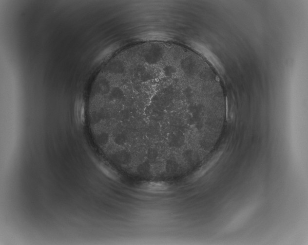 X0000112000157200908101329