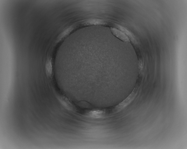 X0000112000158200908101329