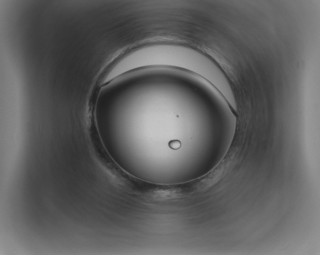 X0000112000160200908101329