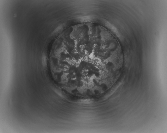 X0000112000161200908101329