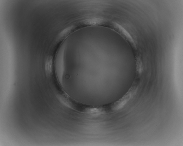 X0000112000163200908101329