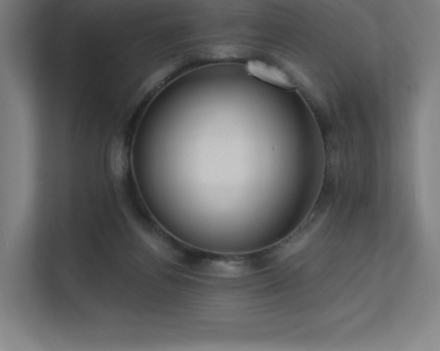 X0000112000164200908101329