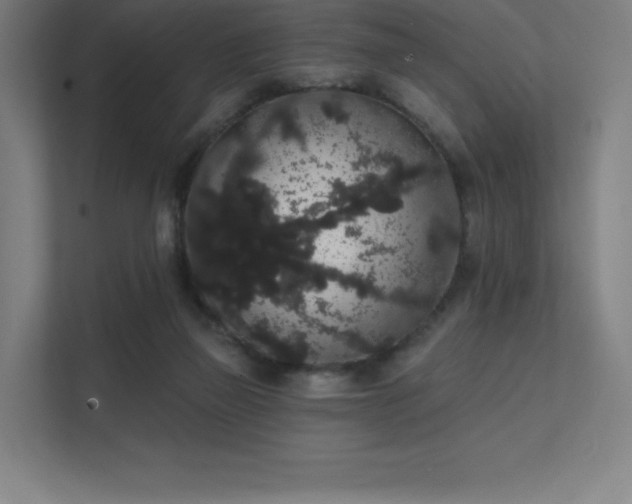 X0000112000165200908101329