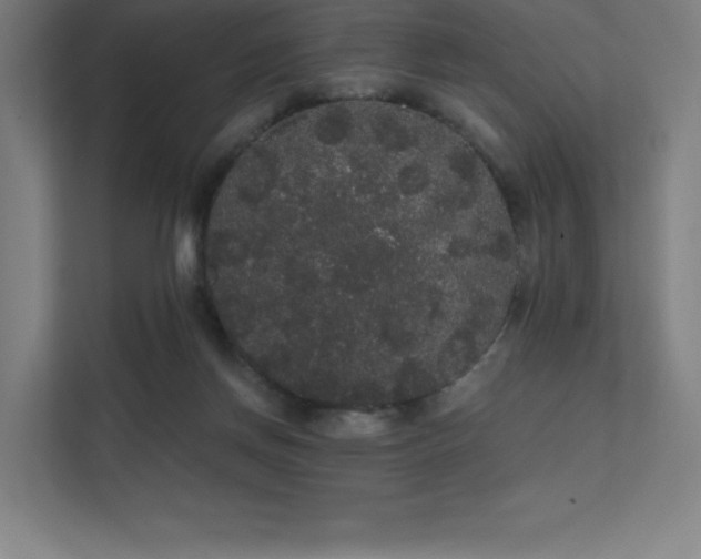 X0000112000166200908101329