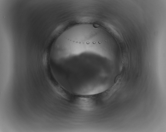 X0000112000167200908101329