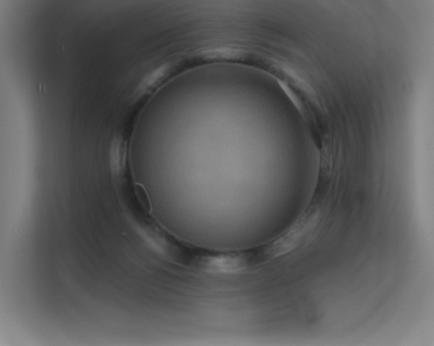 X0000112000168200908101329