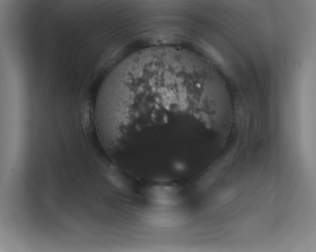 X0000112000169200908101329