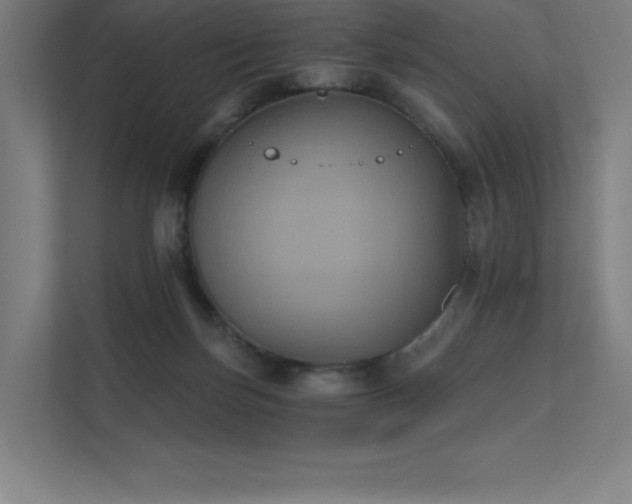 X0000112000171200908101329