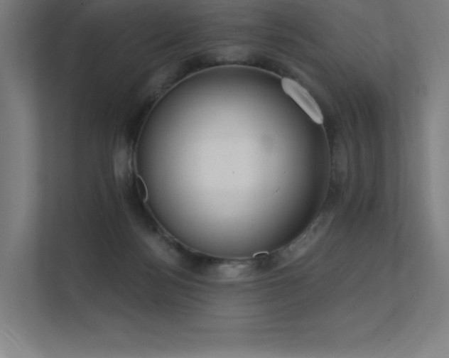 X0000112000172200908101329