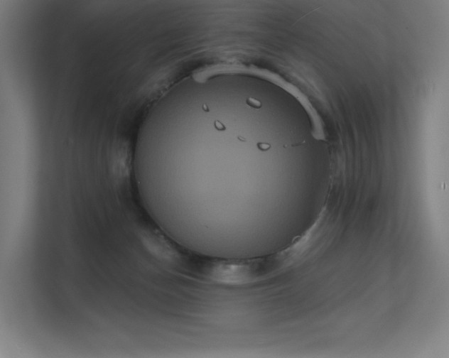 X0000112000174200908101329