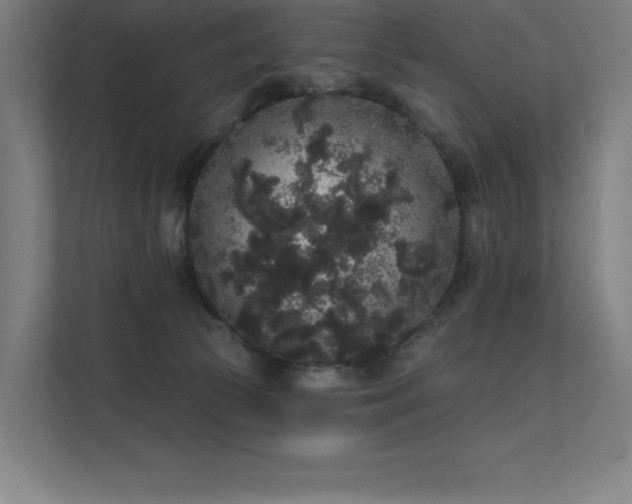 X0000112000177200908101329