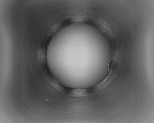 X0000112000179200908101329