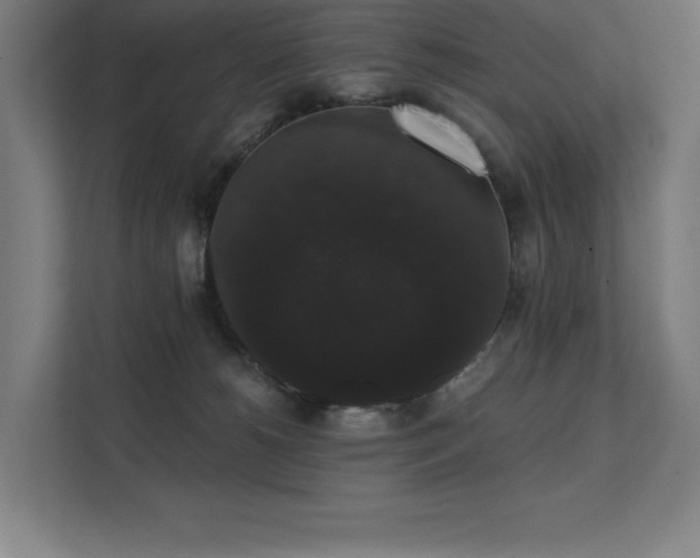 X0000112000180200908101329