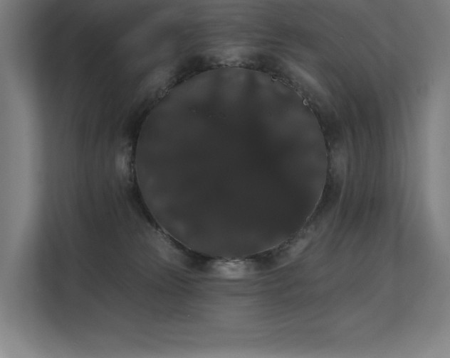 X0000112000181200908101329