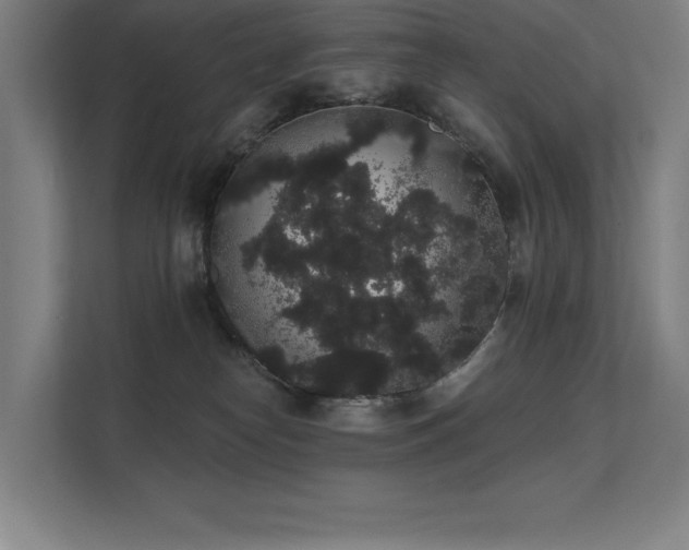 X0000112000182200908101329