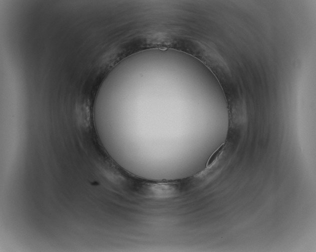 X0000112000183200908101329