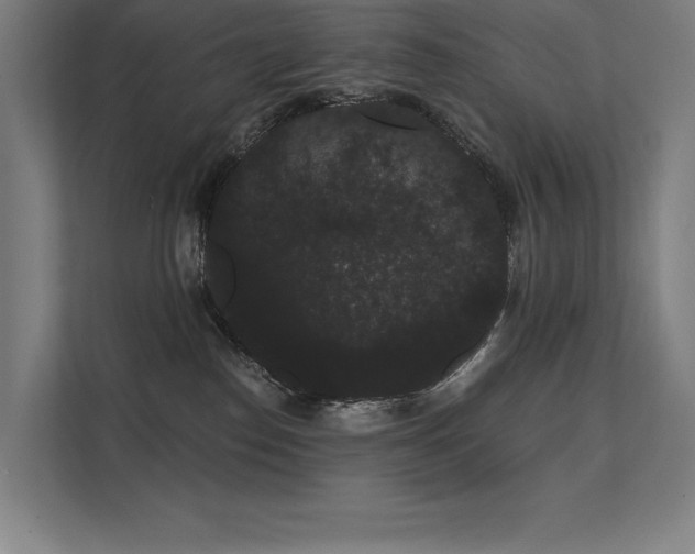 X0000112000186200908101329