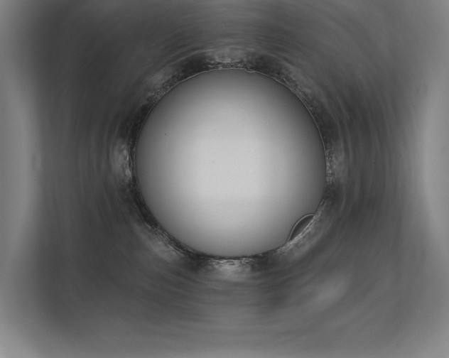 X0000112000187200908101329