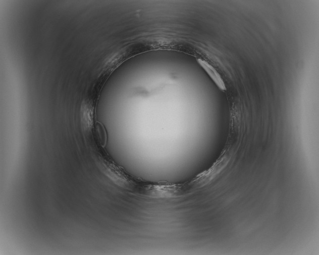 X0000112000188200908101329