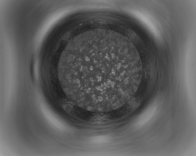 X0000112000189200908101329