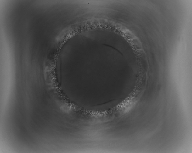 X0000112000192200908101329