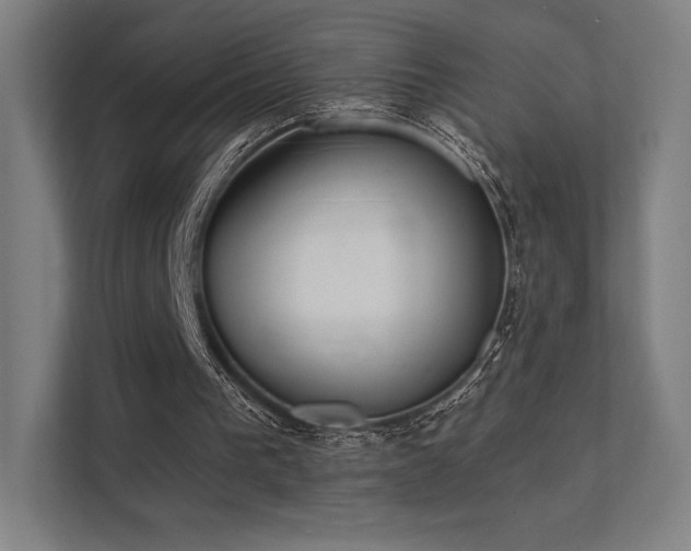 X0000112000193200908101329