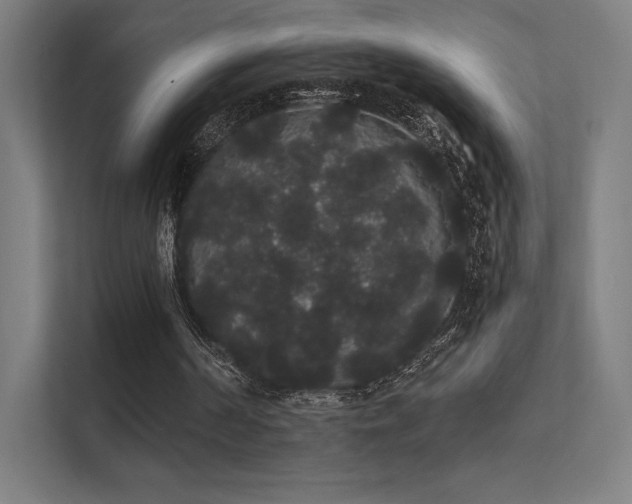 X0000112000194200908101329