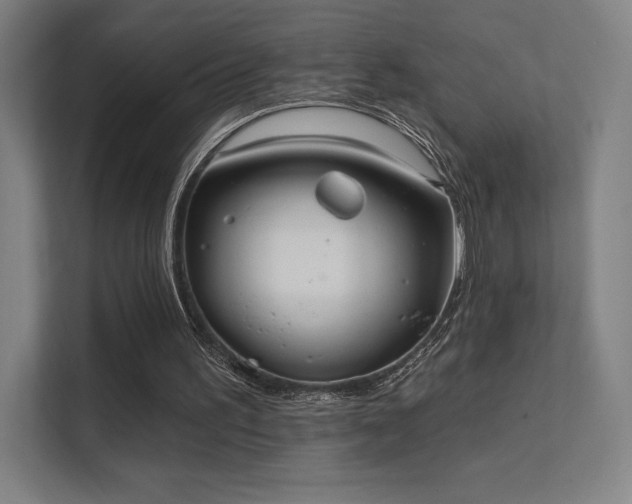 X0000112000195200908101329