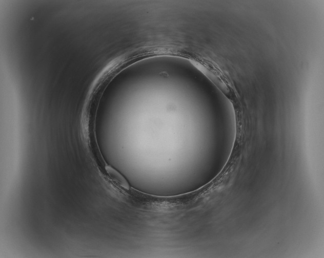 X0000112000197200908101329