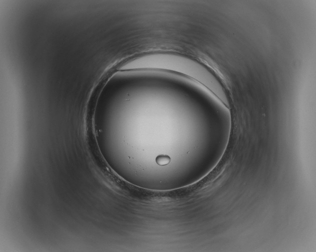 X0000112000203200908101329