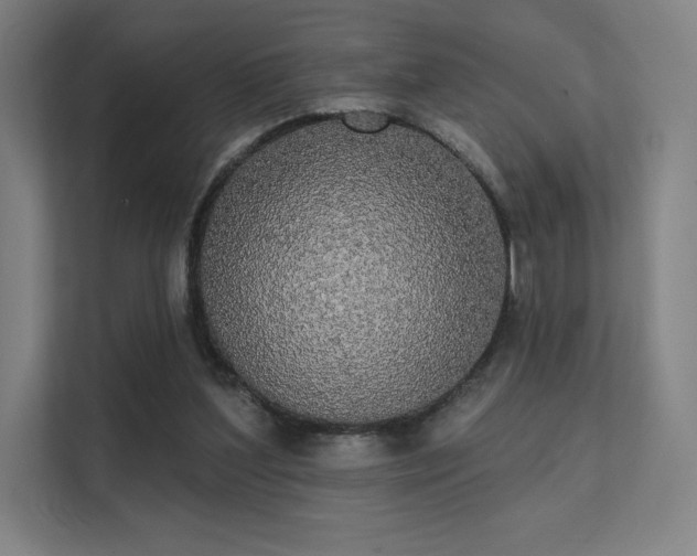 X0000112000204200908101329