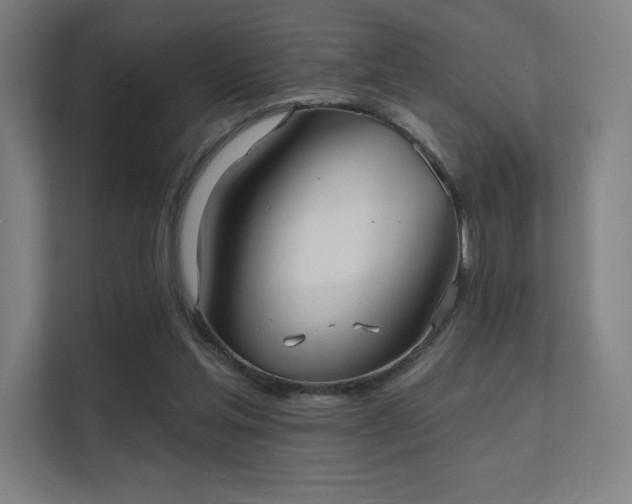 X0000112000205200908101329