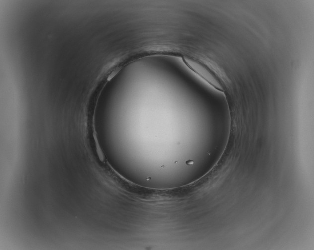 X0000112000207200908101328