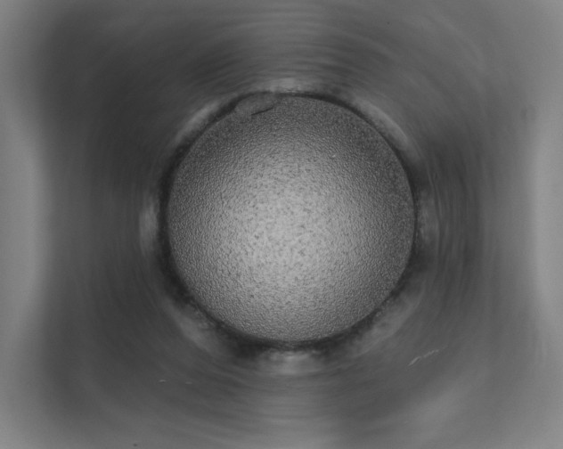 X0000112000208200908101328