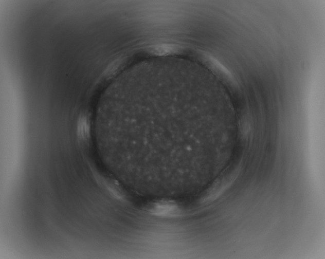 X0000112000214200908101328