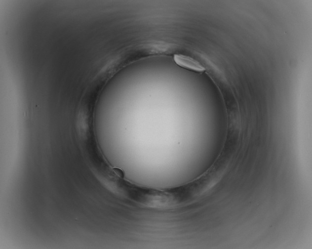 X0000112000215200908101328