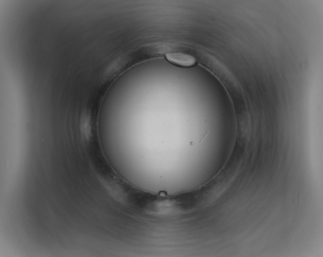 X0000112000216200908101328