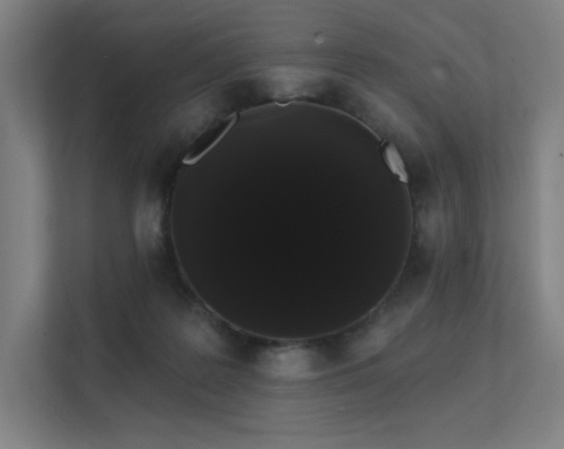 X0000112000219200908101328