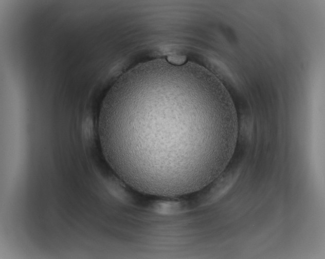 X0000112000220200908101328