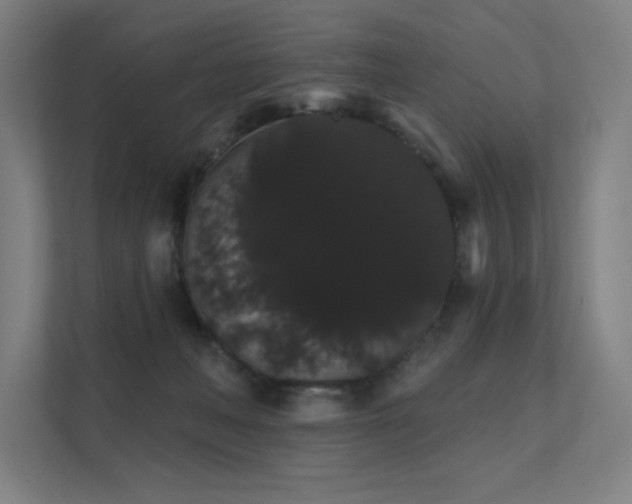 X0000112000222200908101328